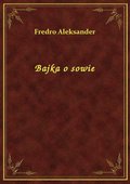 Bajka o sowie - ebook