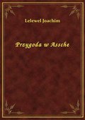 Przygoda w Assche - ebook