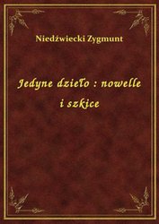 : Jedyne dzieło : nowelle i szkice - ebook