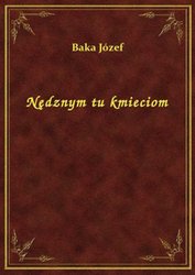 : Nędznym tu kmieciom - ebook