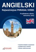 Praktyczna edukacja, samodoskonalenie, motywacja: ANGIELSKI Najważniejsze phrasal verbs - ebook