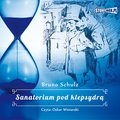 Sanatorium pod klepsydrą - audiobook