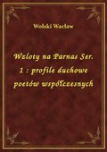 ebooki: Wzloty na Parnas Ser. 1 : profile duchowe poetów współczesnych - ebook
